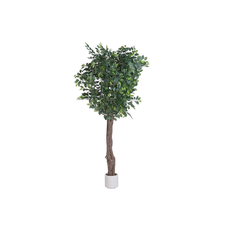 Árboles