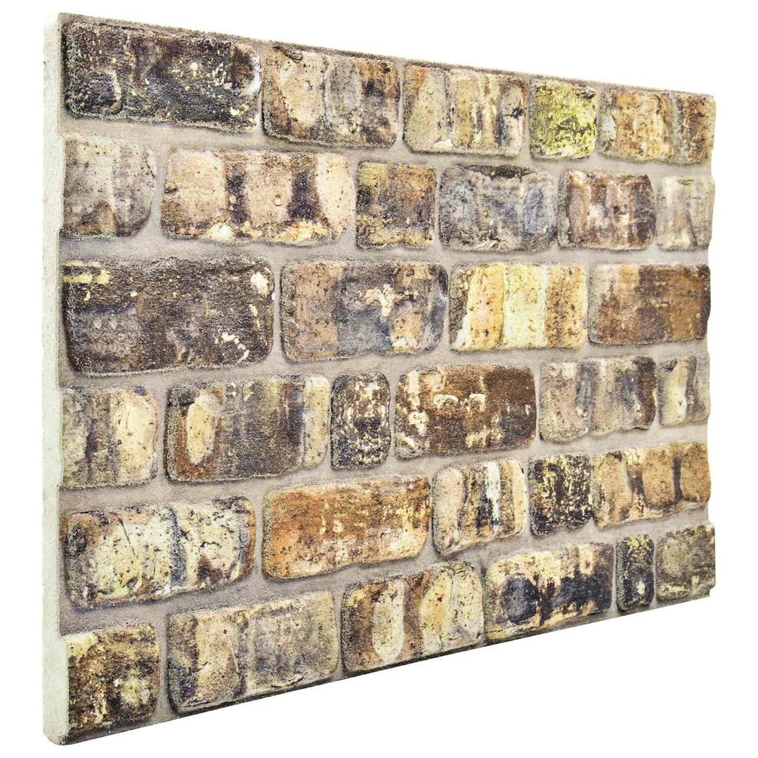 vidaXL Paneles de pared 10 uds. 100 x 50 cm Multicolor Espuma EPS