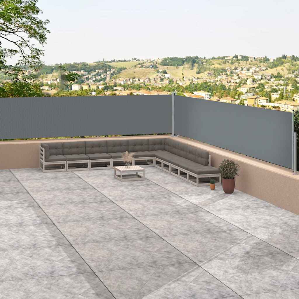 vidaXL Toldo lateral retráctil antracita 117x1200 cm