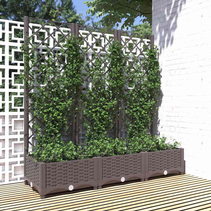 vidaXL Jardinera de jardín con enrejado marrón 120x40x121,5 cm PP