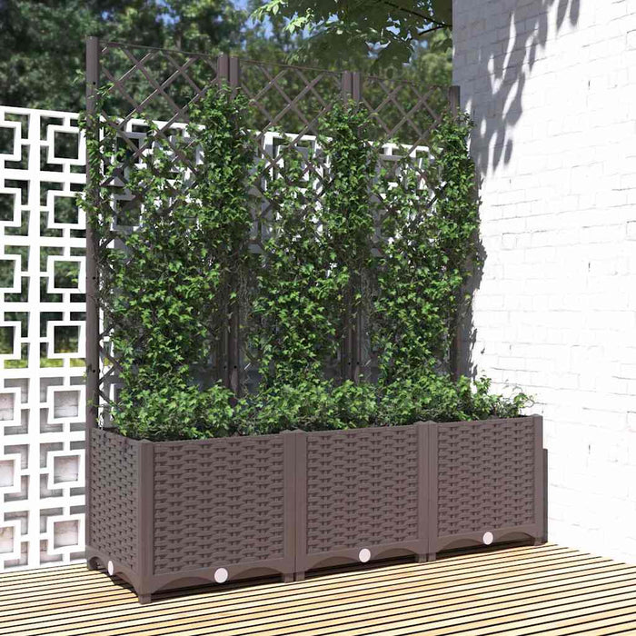 vidaXL Jardinera de jardín con enrejado marrón 120x40x136 cm PP