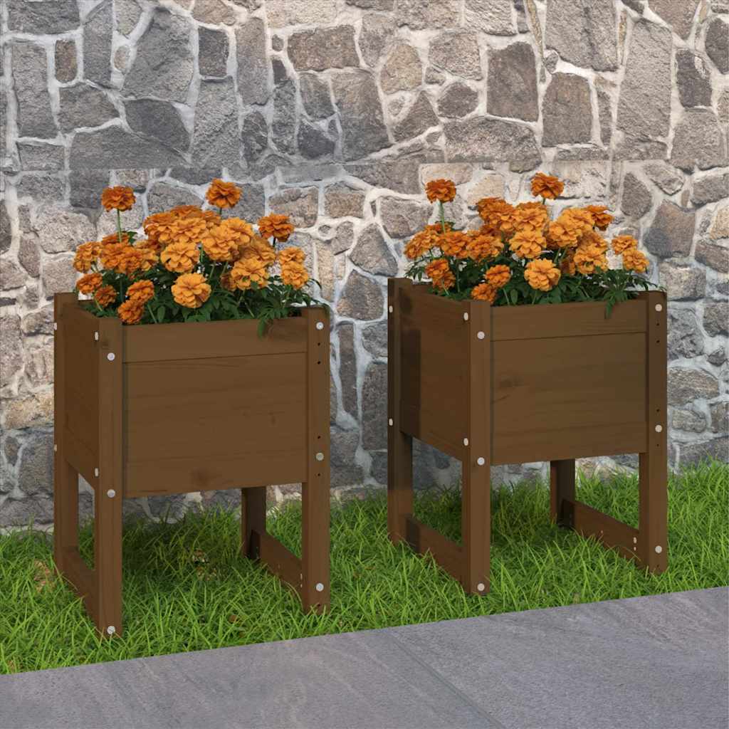 vidaXL Jardinera 2 uds madera maciza de pino marrón miel 40x40x52,5 cm