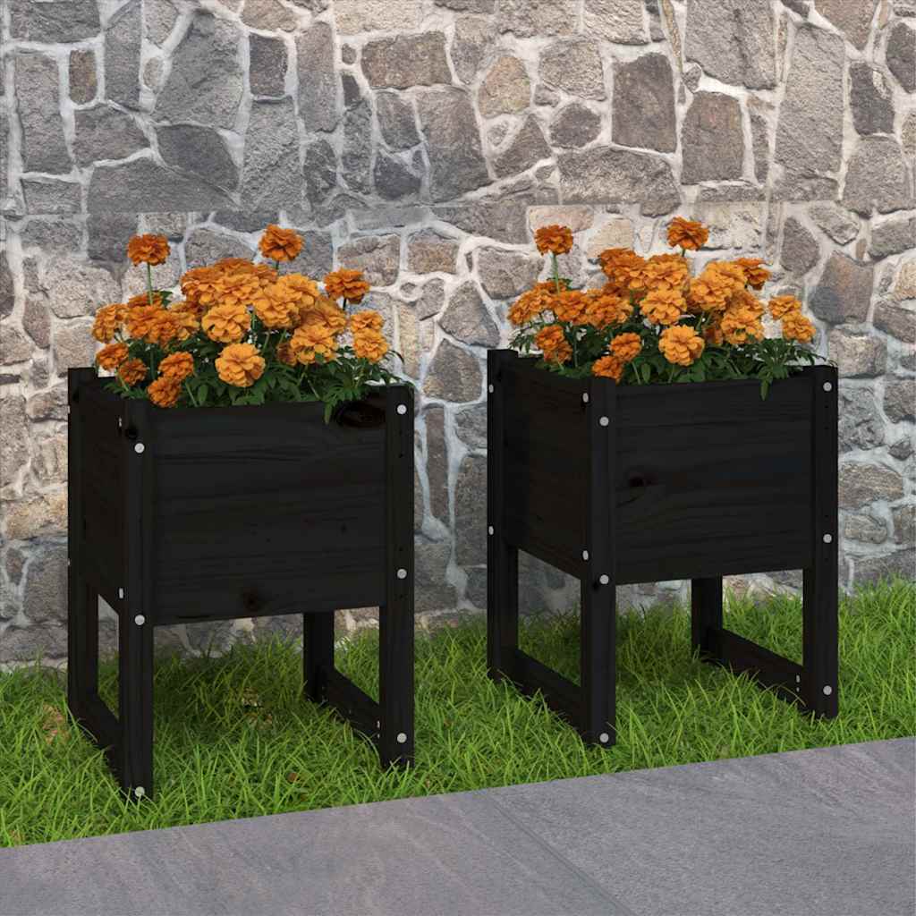vidaXL Jardinera 2 unidades madera maciza de pino negro 40x40x52,5 cm