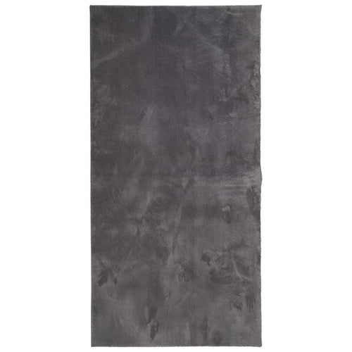vidaXL Alfombra de pelo corto suave lavable HUARTE antracita 100x200cm (2)