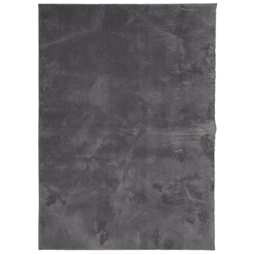 vidaXL Alfombra de pelo corto suave lavable HUARTE antracita 200x280cm (2)