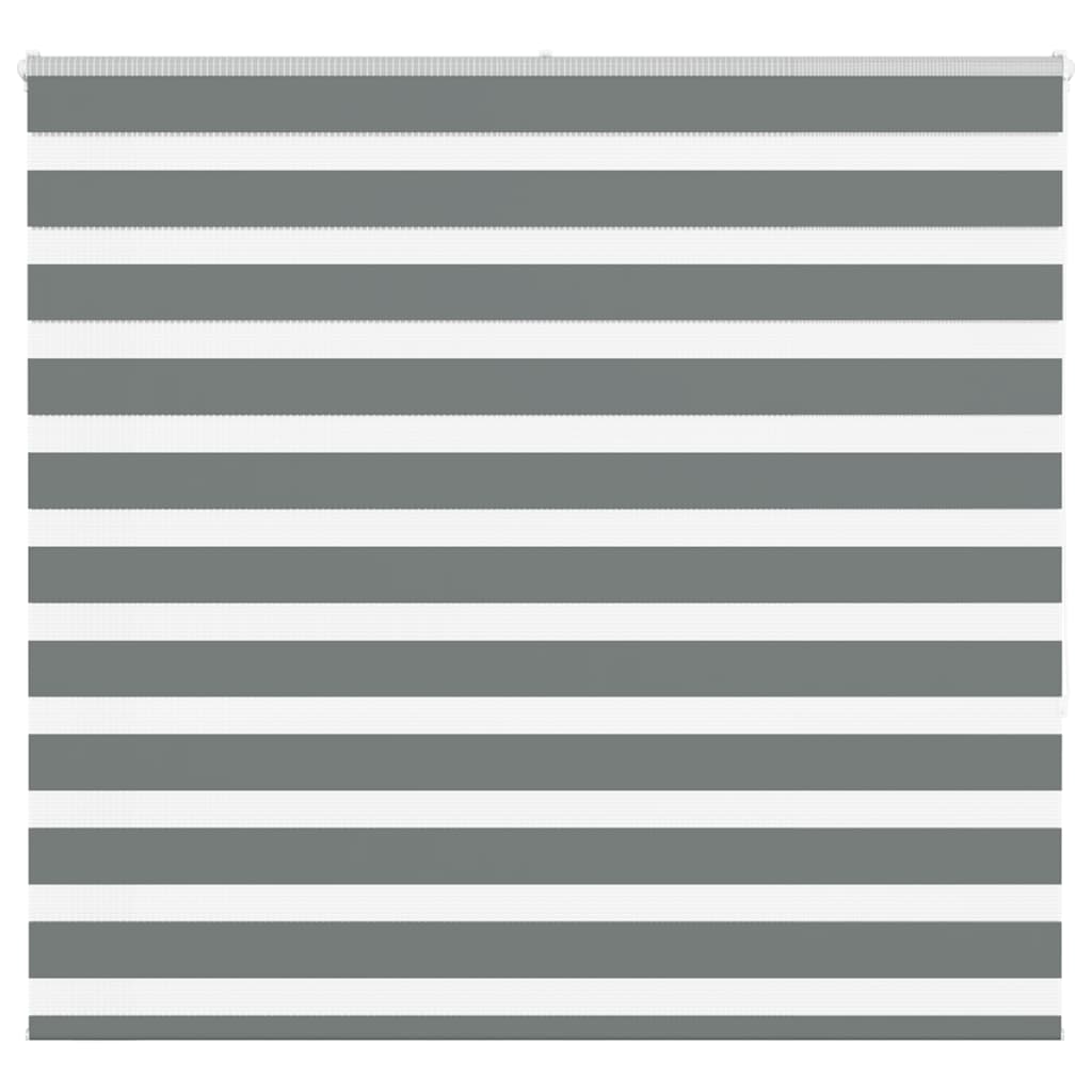 vidaXL Estor cebra gris oscuro tejido ancho 160,9 cm poliéster