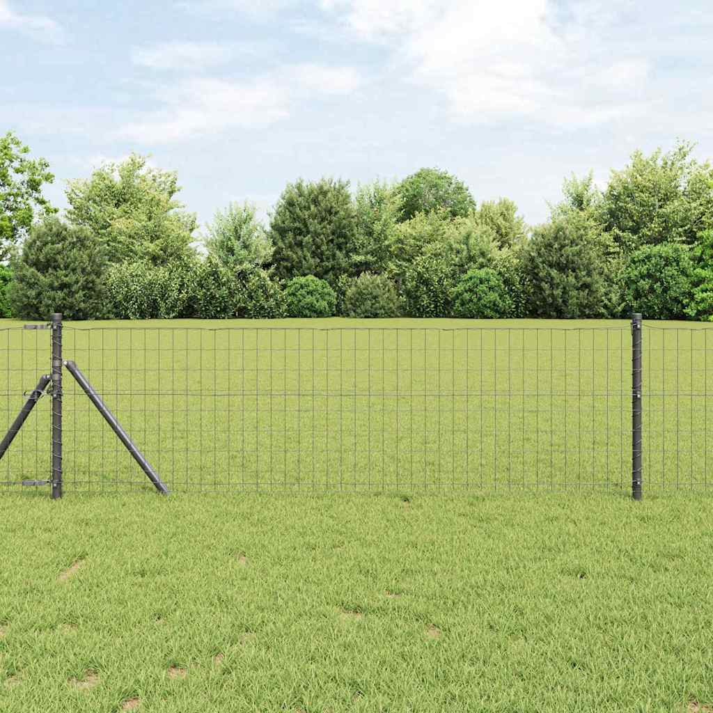 vidaXL Euro Valla 0,8 x 25 m Hierro recubierto de PVC Gris