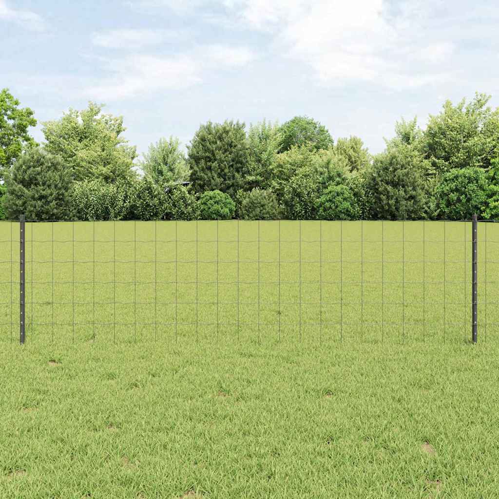 vidaXL Valla Euro con Poste 50 x 0,6 m Acero recubierto de PVC Gris