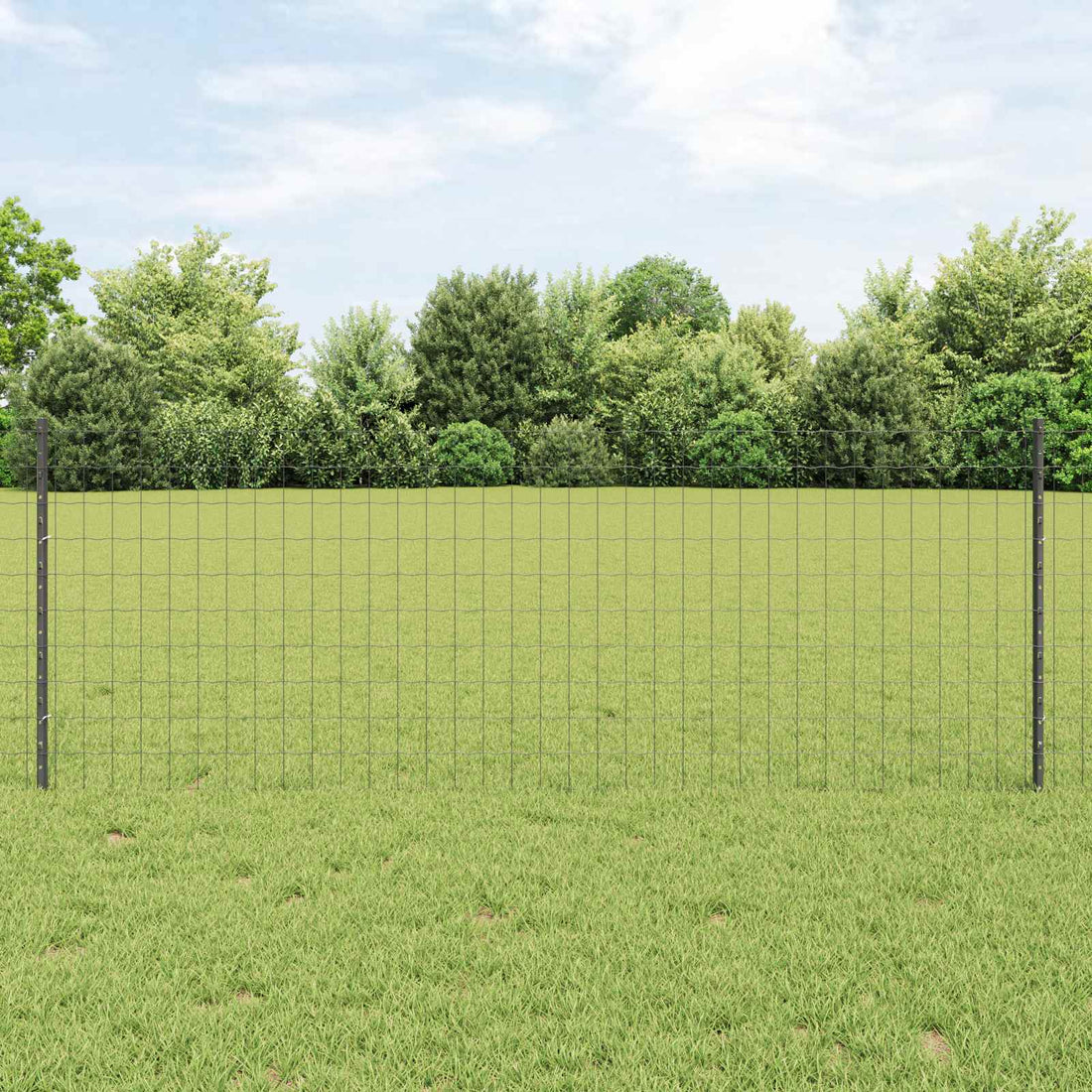 vidaXL Valla Euro con Poste 10 x 0,8 m Acero recubierto de PVC Gris