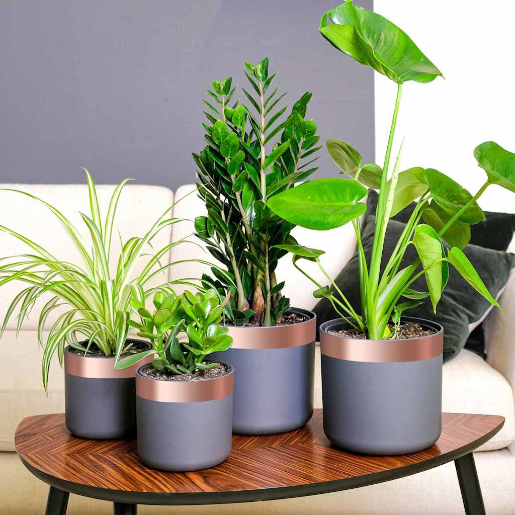 vidaXL Cinta de Cobre Doble Cara para Protección contra Babosas 6 uds.