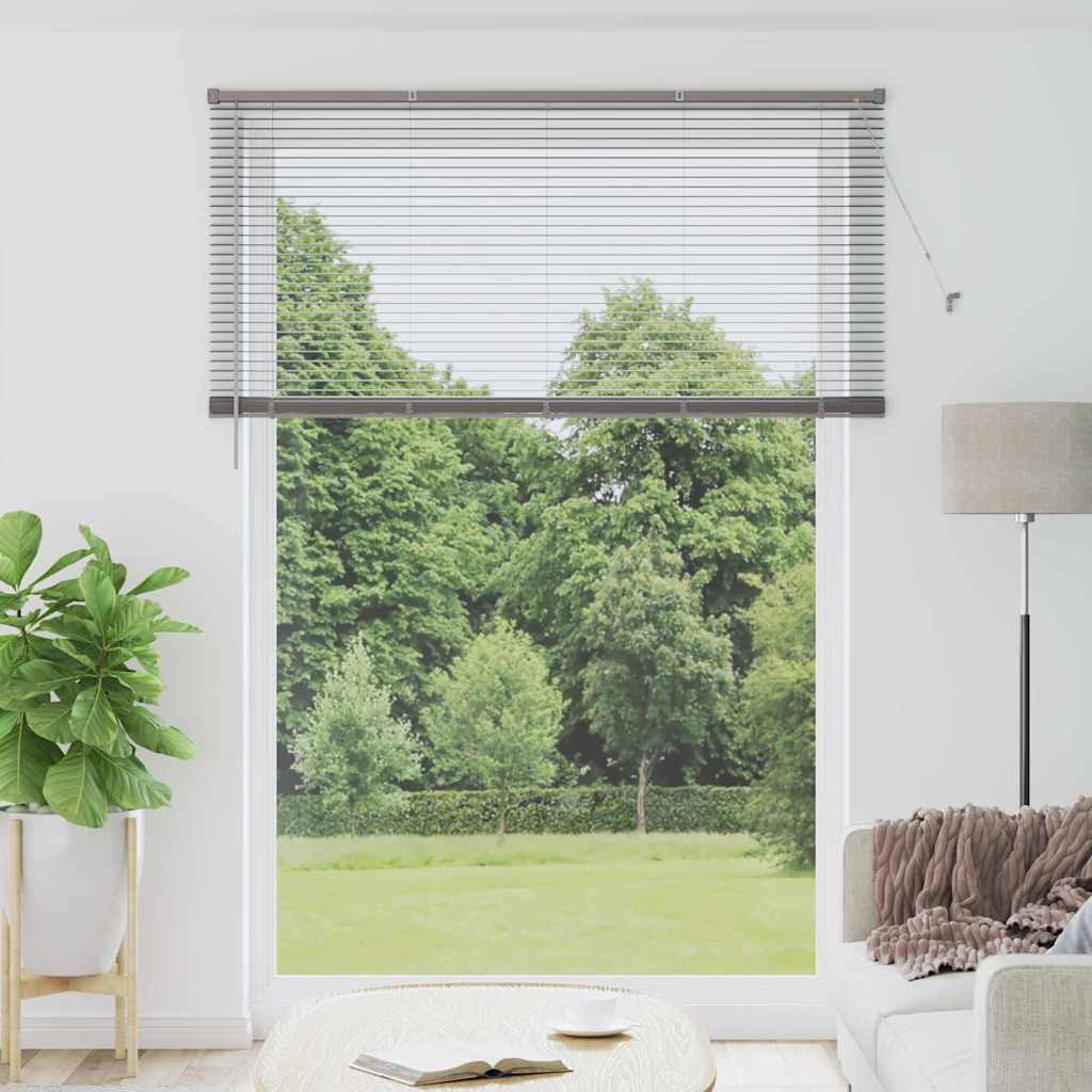 vidaXL Persiana veneciana Plateado 220 x 160 cm 25 mm Aluminio