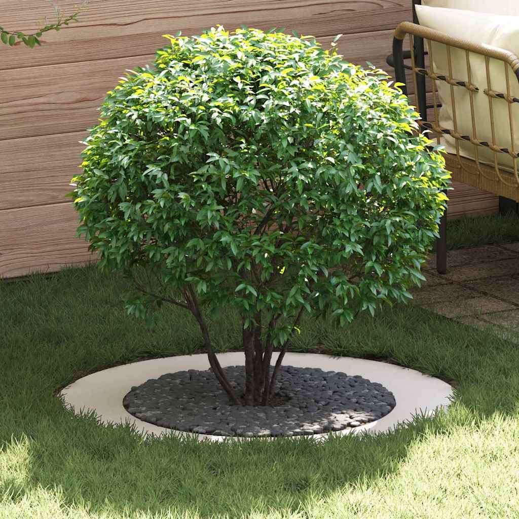 vidaXL adecuado para Anillos de Árbol Plano 5 uds. Ø60/90 cm Acero