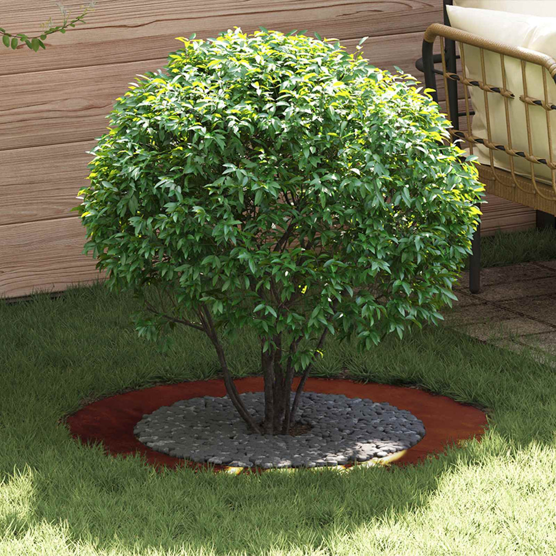 vidaXL adecuado para Anillo de Árbol Plano Oxidado Ø60/90 cm