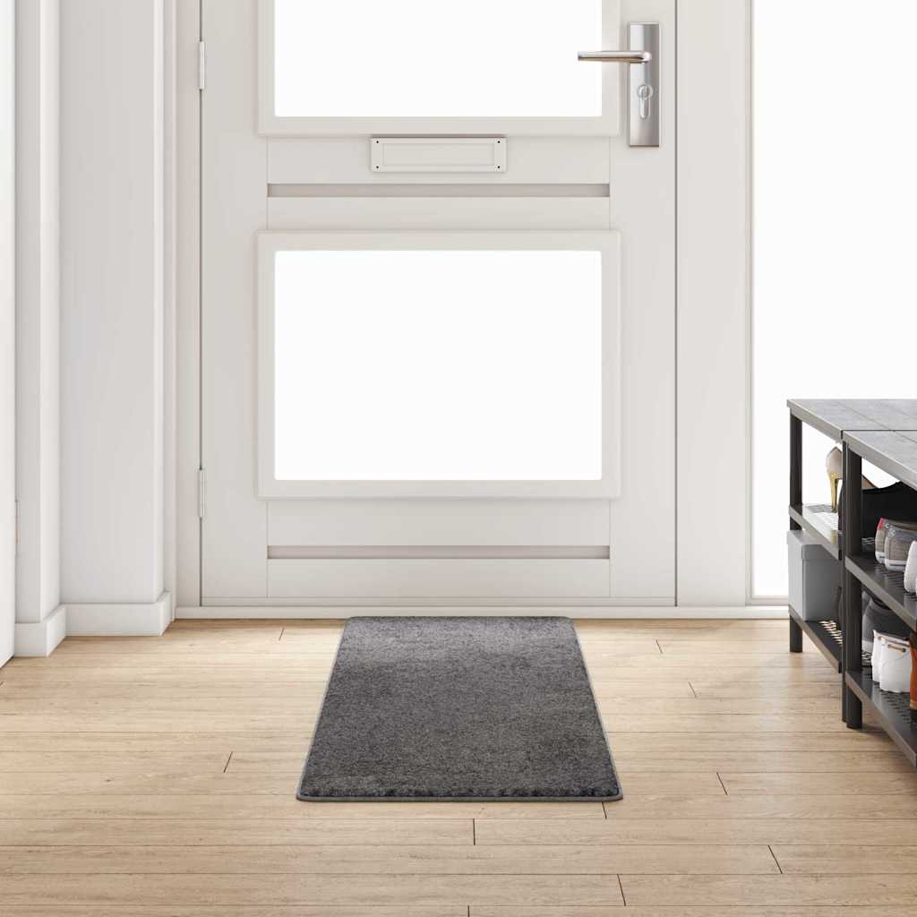 vidaXL Runner de Alfombra Gris 50 x 200 cm