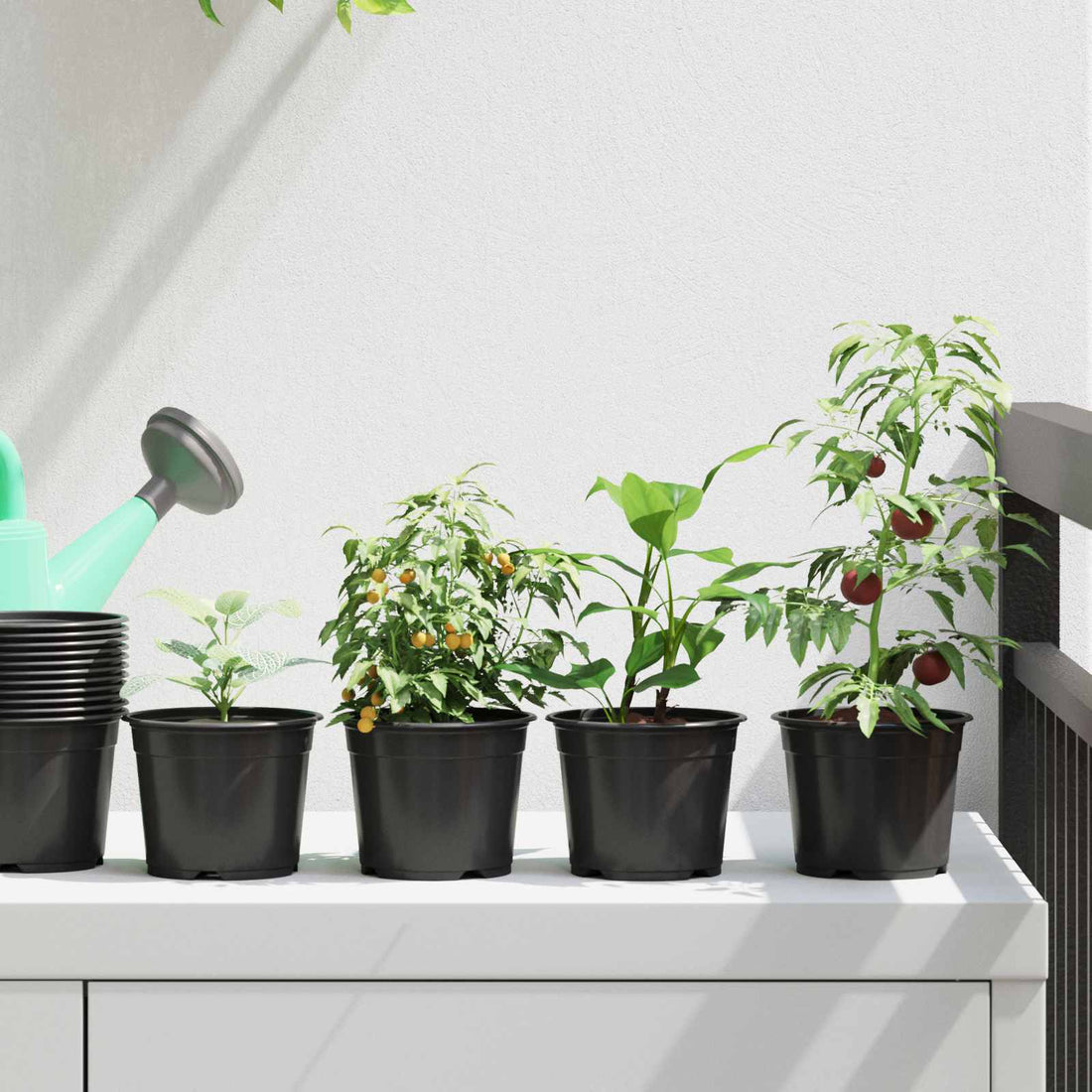 vidaXL Maceta Redonda para Flores 100 uds. Negro Ø 10 x 8 cm Plástico