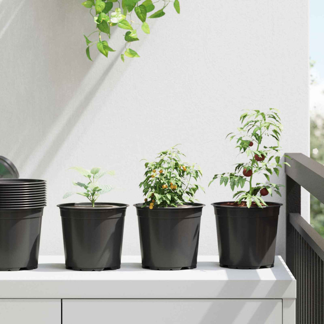 vidaXL Maceta Redonda para Flores 50 uds. Negro Ø 15 x 13 cm Plástico