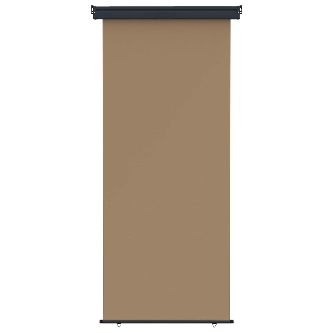 vidaXL Toldo lateral para balcón 60 x 250 cm