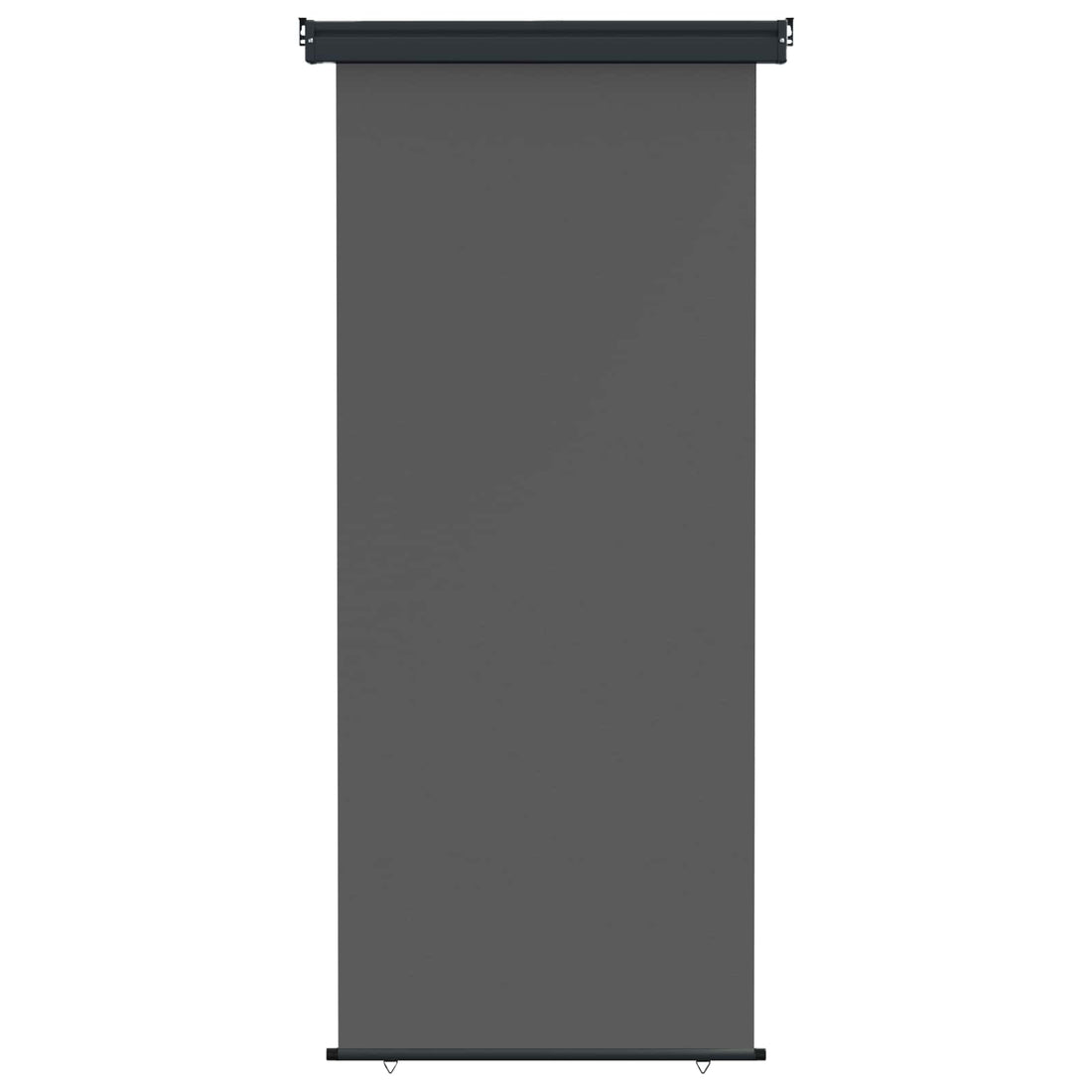 vidaXL Toldo lateral para balcón 80 x 250 cm