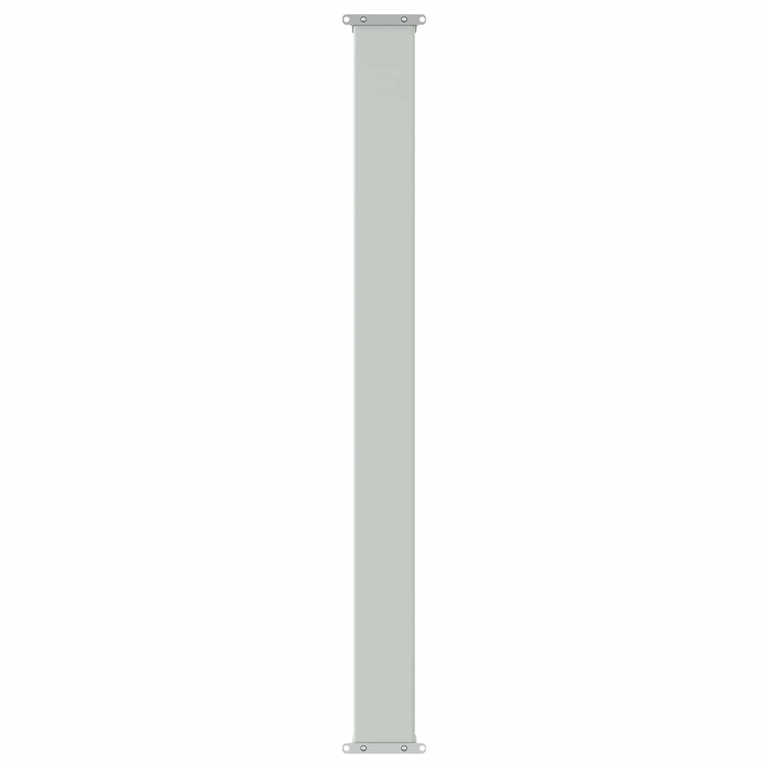 vidaXL Toldo lateral retráctil Rectangular 300 x 100 cm Poliéster