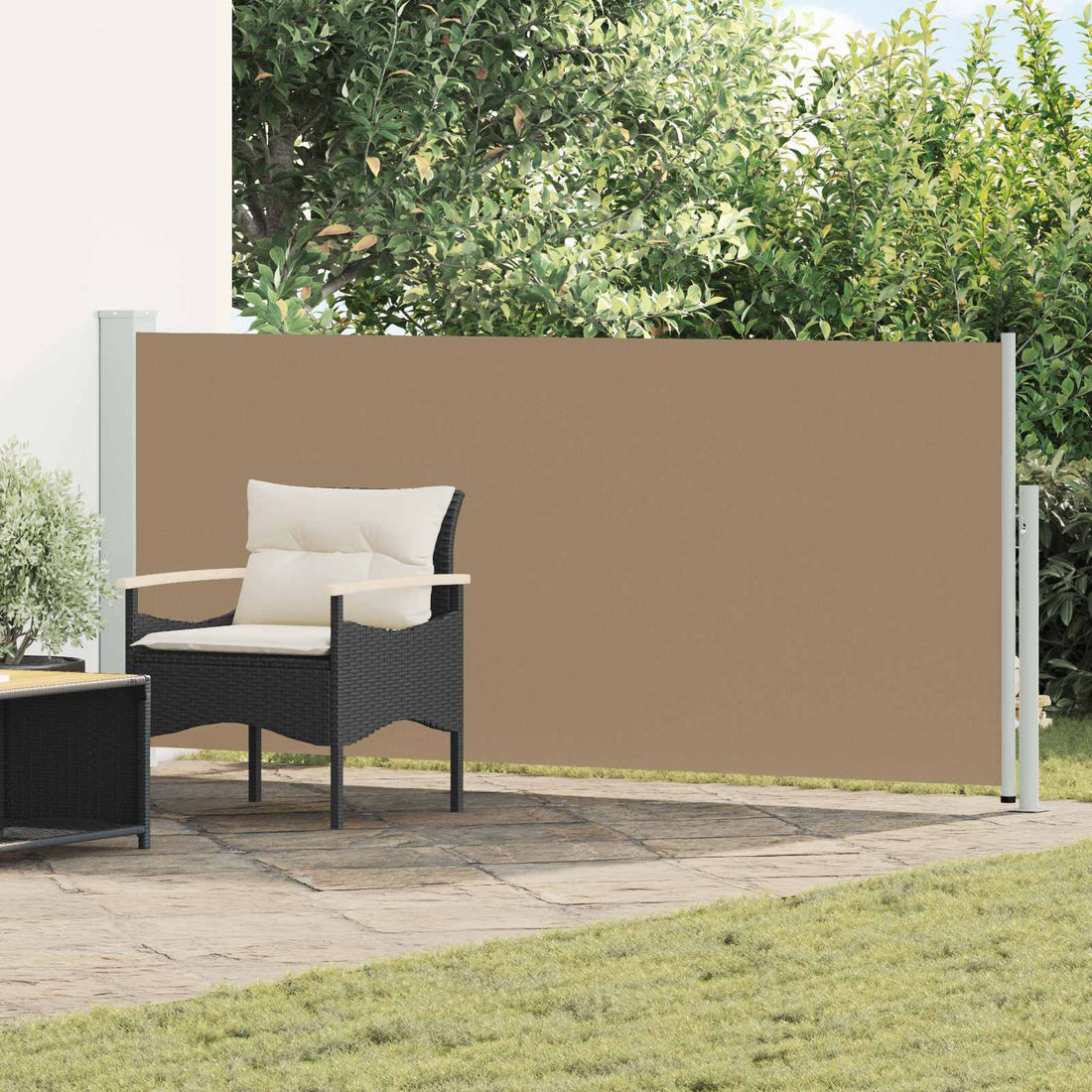 vidaXL Toldo lateral retráctil Rectangular 120 x 300 cm Poliéster
