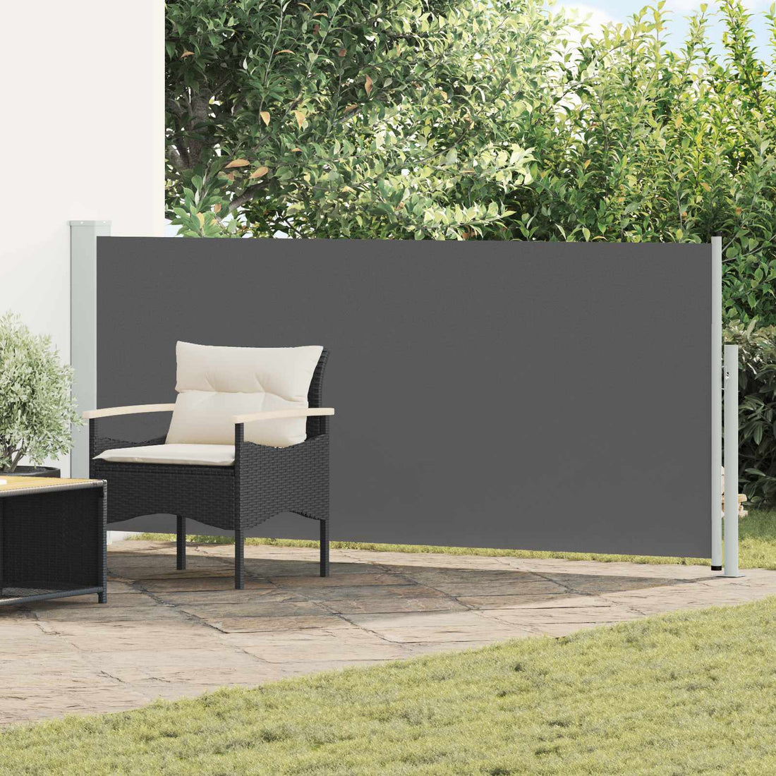 vidaXL Toldo lateral retráctil Rectangular 120 x 300 cm Poliéster