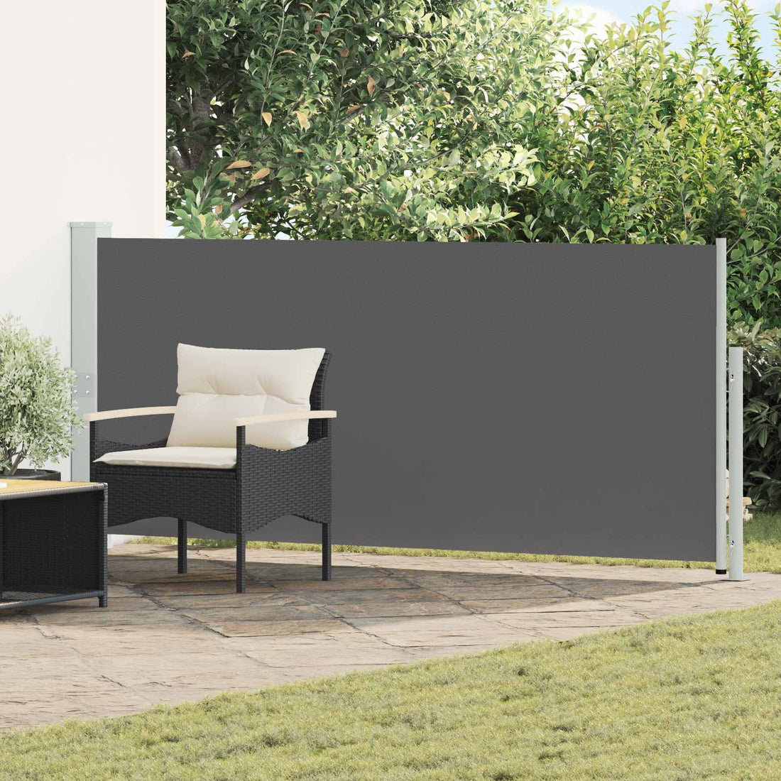 vidaXL Toldo lateral retráctil Rectangular 140 x 300 cm Poliéster