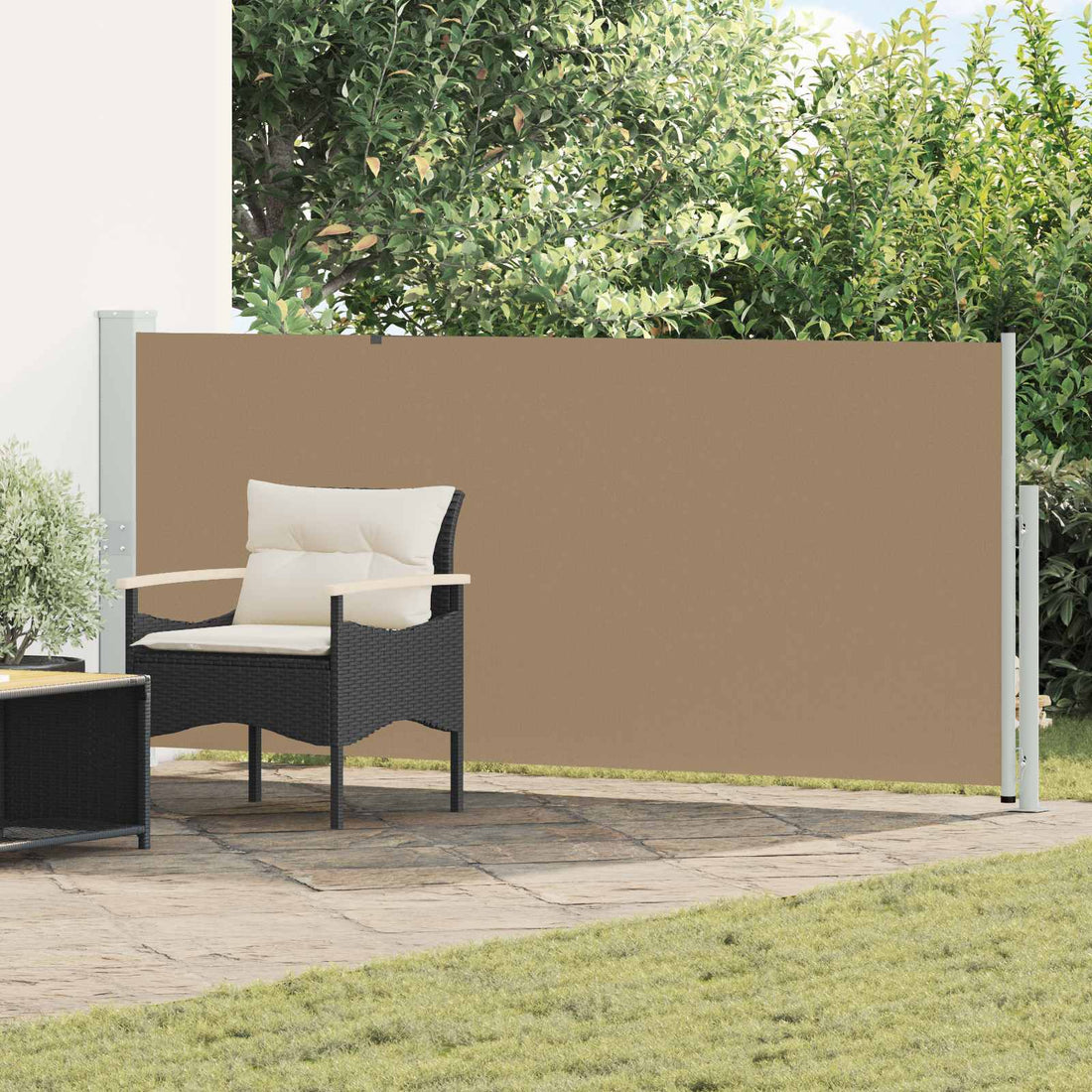 vidaXL Toldo lateral retráctil Rectangular 160 x 300 cm