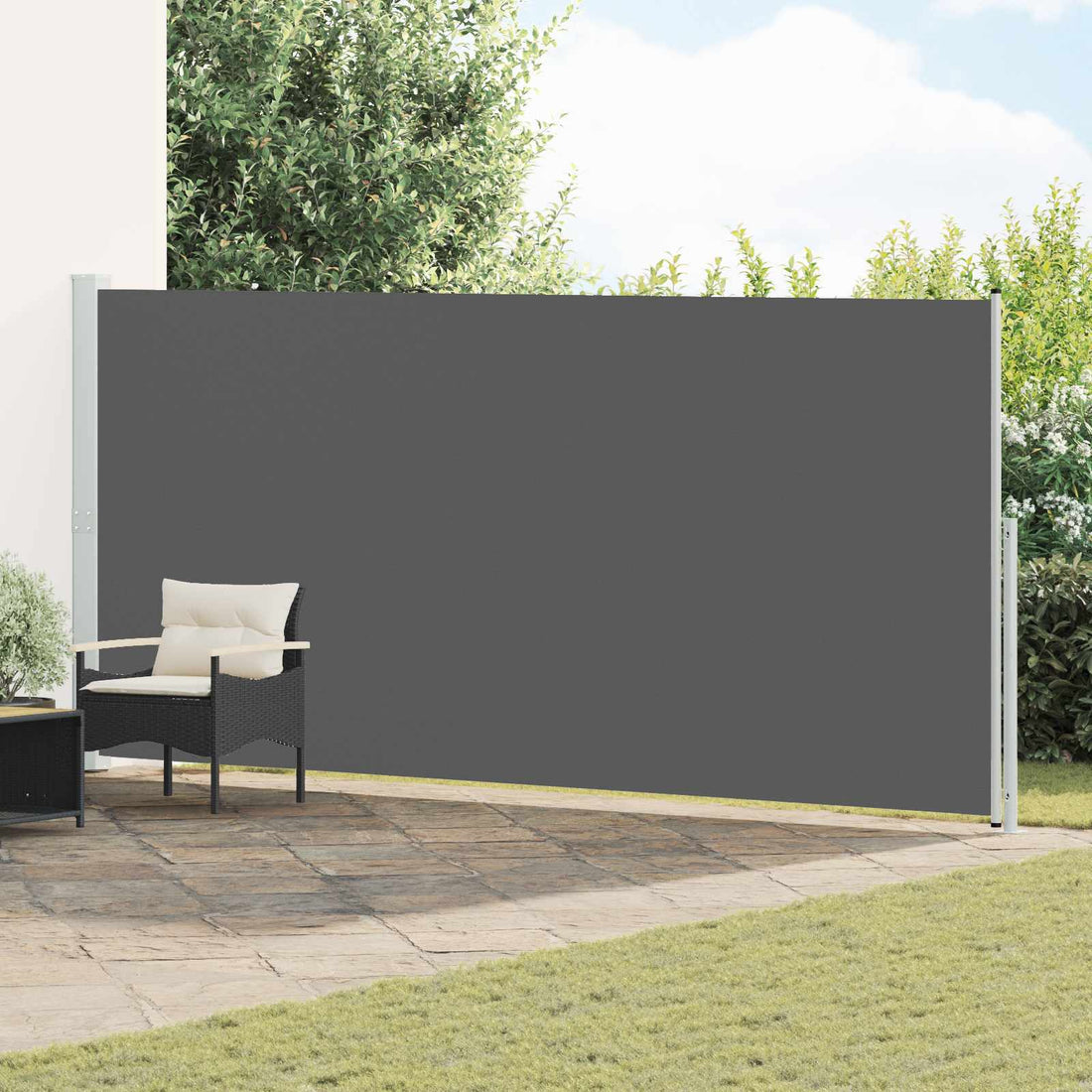 vidaXL Toldo lateral retráctil Rectangular 200 x 300 cm