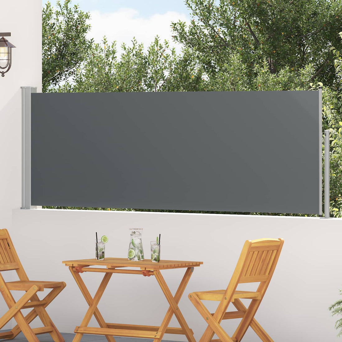 vidaXL Toldo lateral retráctil Rectangular 500 x 100 cm Poliéster