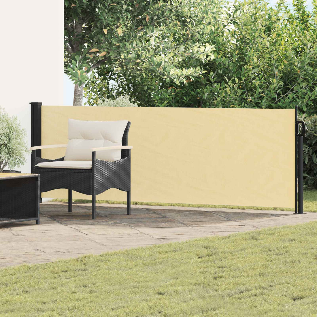 vidaXL Toldo lateral retráctil 300 x 100 cm Poliéster Rectangular