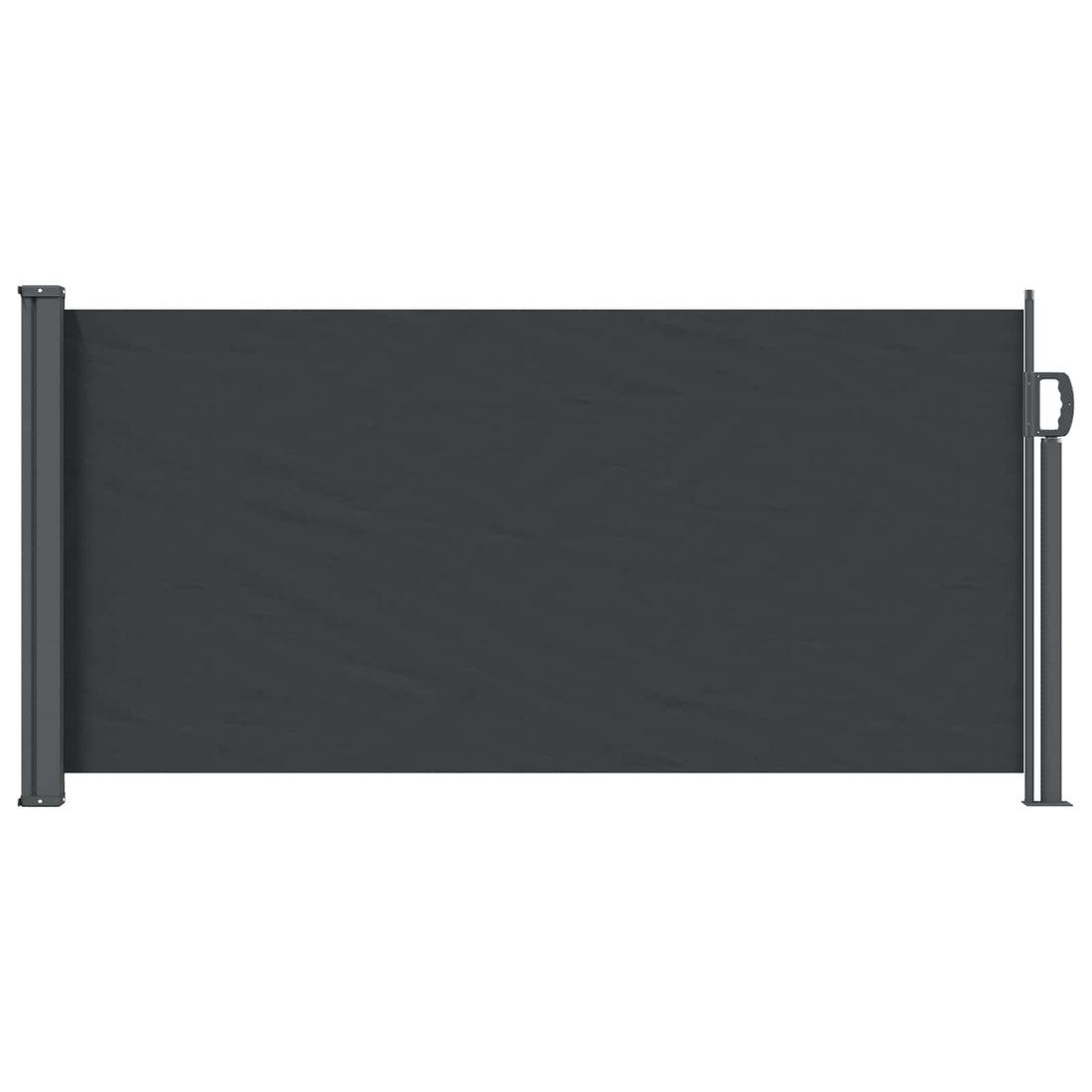 vidaXL Toldo lateral retráctil 300 x 100 cm Poliéster Rectangular