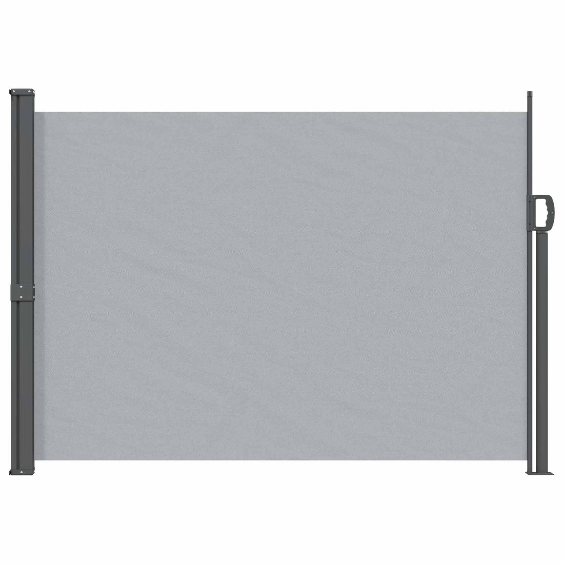 vidaXL Toldo lateral retráctil 160 x 300 cm