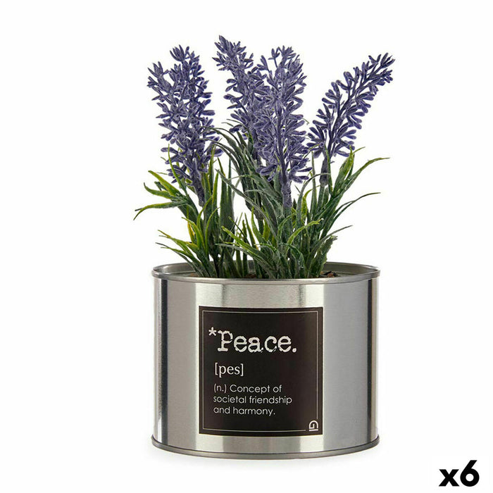 Planta Decorativa Metal Plástico Lata Lavanda 10 x 18 x 10 cm (6 Unidades) Plateado