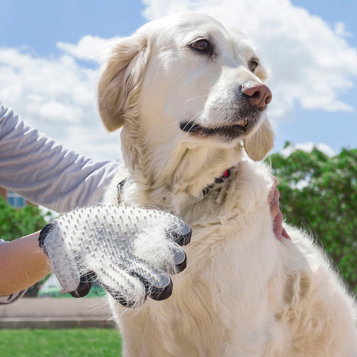 Guante para Cepillar y Masajear Mascotas Relpet Silicona Gris