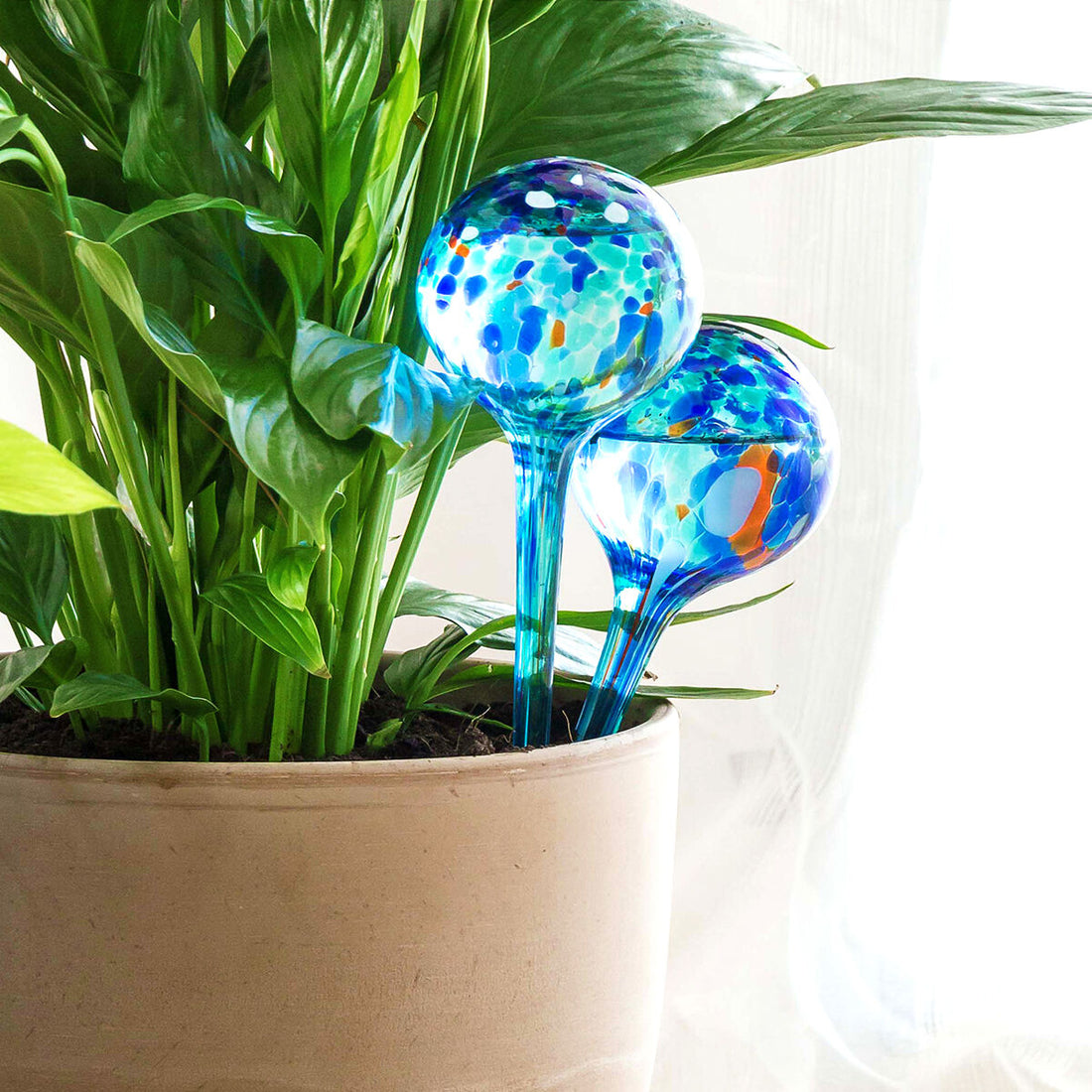 Globos de Riego Automático Aqua·Loon 2 Unidades Vidrio Regalo Original Verano Azul 2 x 350 ml