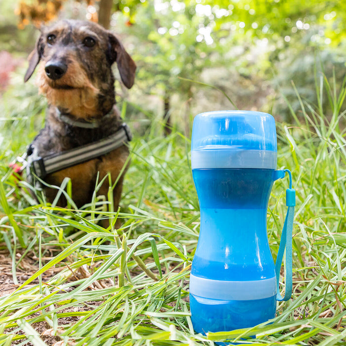 Botella con Depósito de Agua y Comida para Mascotas 2 en 1 Pettap Polipropileno sin BPA Aire Libre / Camping Verano