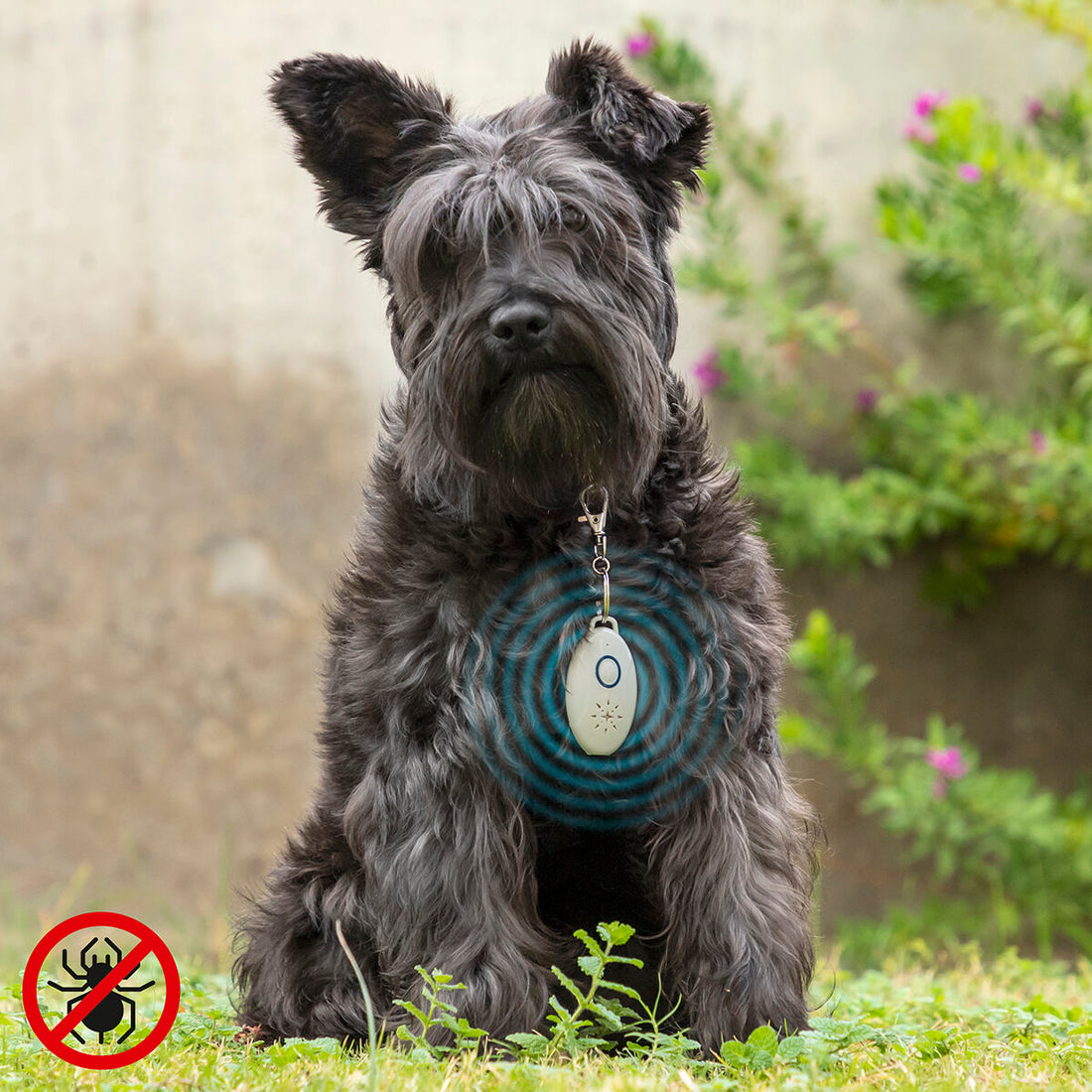 Antiparásitos por Ultrasonidos Recargable para Mascotas PetRep ABS USB ECOFriendly Gris